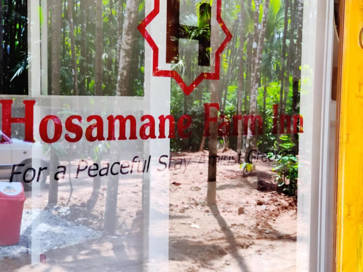 Hosamane Farm Inn Sringeri Exterior foto